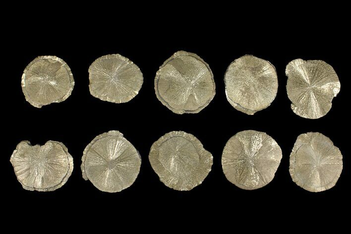 Lot: Pyrite Suns From Illinois - Pieces #92537